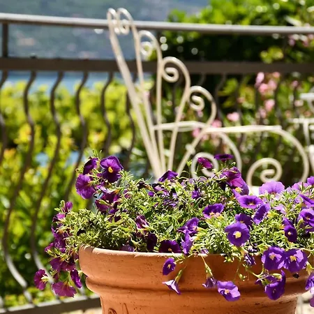 Ada Argegno, Lake Como View آرجينيو